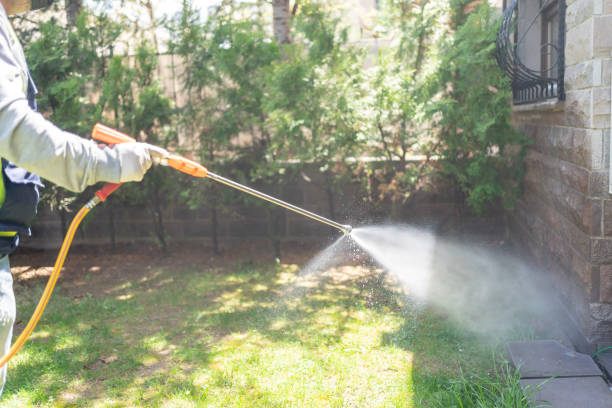 Best Residential Pest Control  in Seaville, NJ